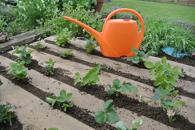 Rénover son jardin efficacement